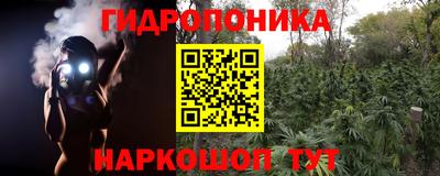 сатива Волжский