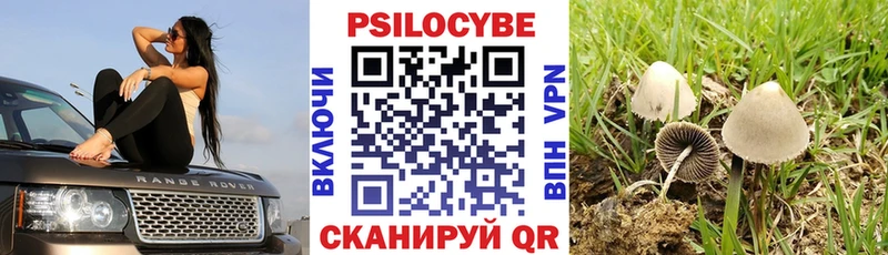 Галлюциногенные грибы Psilocybe  как найти наркотики  Зима 