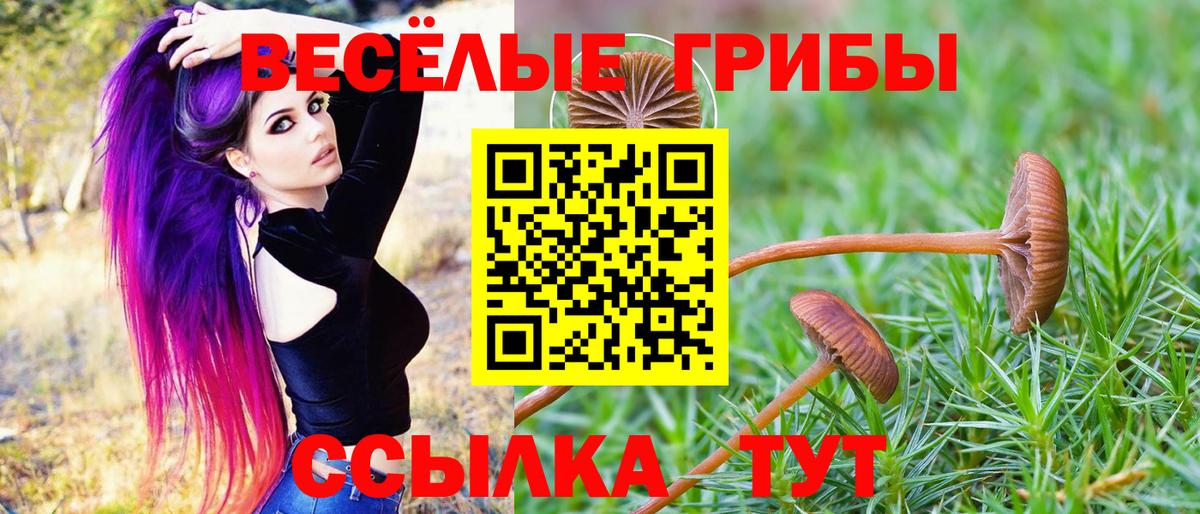 Зима  Псилоцибиновые грибы GOLDEN TEACHER  Вход с VPN 