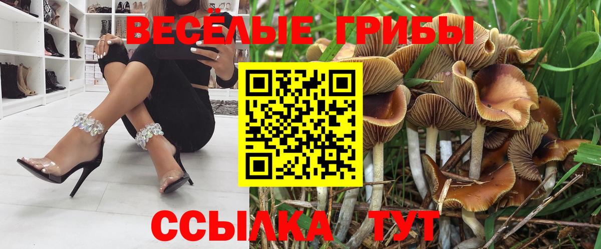 Галлюциногенные грибы прущие грибы Зима