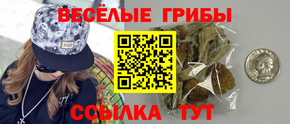 Зима  Конопля  Меф кристаллы  Кокаин  Гашиш  МДМА  Вход с VPN  Гашиш 